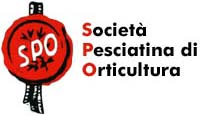 logo www.olivierditalie.com